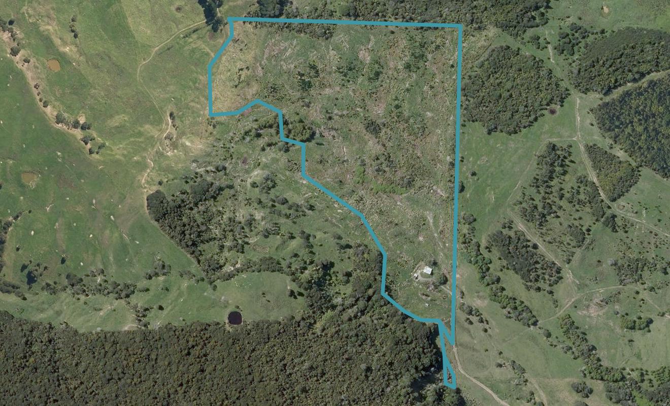 0 Smoothy Road, Waimamaku, Kaikohe - Carousel 1
