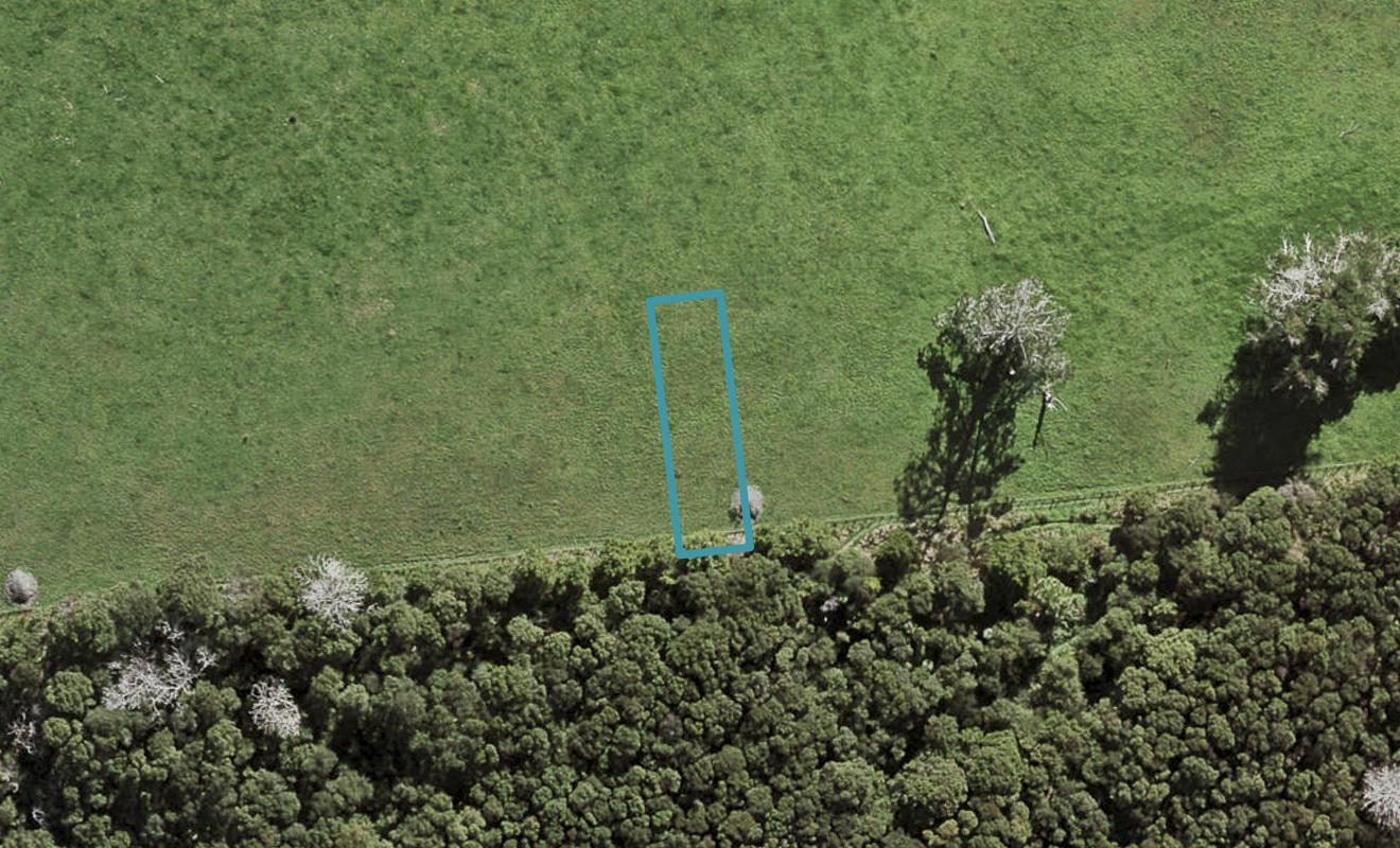 36 Te Aniwaniwa Terrace, Albany, Auckland - Carousel 1