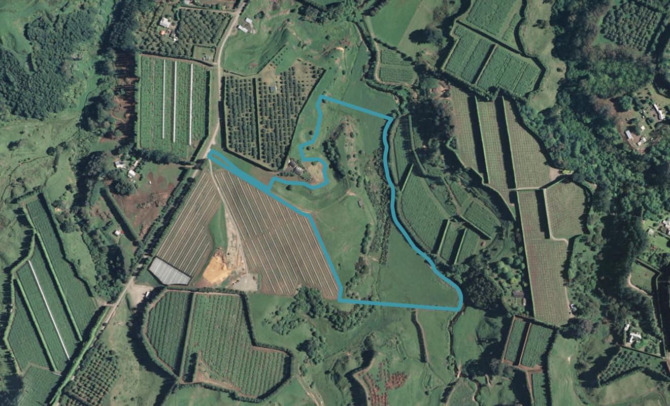 163 Walford Road, Aongatete, Katikati - Carousel 1