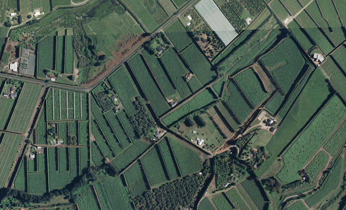 190 Tuapiro Road, Tahawai, Katikati - Carousel 1