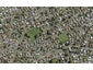 32 Rowandale Avenue, Manurewa, Auckland - Carousel 1