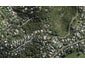 9 Coromandel Road, Oneroa, Waiheke Island - Carousel 1