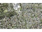 10 Grandison Crescent, New Lynn, Auckland - Carousel 1