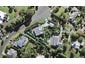 9B Olwyn Place, Greenhithe, Auckland - Carousel 1
