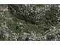 29 Te Aroha Avenue, Oneroa, Waiheke Island - Carousel 1