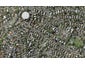 12 Swainston Road, Saint Johns, Auckland - Carousel 1