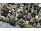 17 Cornwallis Street, Sandringham, Auckland - Carousel 1