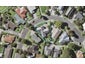 7 Lochend Place, Highland Park, Auckland - Carousel 1