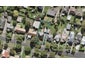 44 Parrish Road, Sandringham, Auckland - Carousel 1