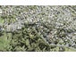 518 Whangaparaoa Road, Stanmore Bay, Whangaparaoa - Carousel 1