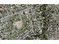 50 Lancaster Road, Beach Haven, Auckland - Carousel 1
