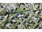 21 Nigel Road, Browns Bay, Auckland - Carousel 1