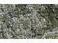 36 Stredwick Drive, Torbay, Auckland - Carousel 1