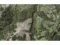 67 Griggs Road, East Tamaki Heights, Auckland - Carousel 1