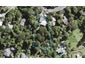 77 Warner Park Avenue, Laingholm, Auckland - Carousel 1