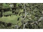 98 Hobson Road, Lucas Heights, Auckland - Carousel 1