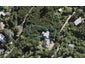 9 Bella Vista Road, Omiha, Waiheke Island - Carousel 1