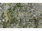 11 Konini Road, Titirangi, Auckland - Carousel 1