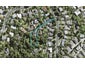 15A Autumn Avenue, Glen Eden, Auckland - Carousel 1