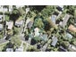 9 Holt Avenue, Torbay, Auckland - Carousel 1