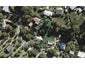 15 Trig Hill Road, Onetangi, Waiheke Island - Carousel 1