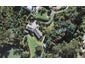 148 Attwood Road, Paremoremo, Auckland - Carousel 1