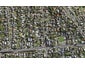 35A Whitney Street, New Windsor, Auckland - Carousel 1