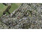 36D Waverley Avenue, Glenfield, Auckland - Carousel 1