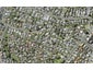 2/15 Edgar Pearce Place, Howick, Auckland - Carousel 1