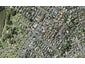 62A Eversleigh Road, Belmont, Auckland - Carousel 1