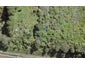 1 Te Uru Huarakau Lane, SWANSON - Carousel 1