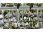 39 Waipani Road, Te Atatu Peninsula, Auckland - Carousel 1