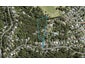 205A Godley Road, Titirangi, Auckland - Carousel 1