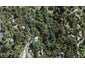 9 Woontons Lane, Titirangi, Auckland - Carousel 1