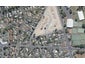 7 Cassidy Street, Hamilton East, Hamilton - Carousel 1