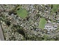 56A Fitzherbert Avenue, West Harbour, Auckland - Carousel 1