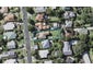 11 Niccol Avenue, Narrow Neck, Auckland - Carousel 1