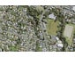 41A Glendale Road, Glen Eden, Auckland - Carousel 1