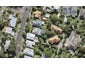 4B Kingsford Road, Mount Eden, Auckland - Carousel 1