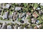 8 Micawber Place, Mellons Bay, Auckland - Carousel 1