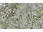 22 Brixton Road, Manly, Whangaparaoa - Carousel 1