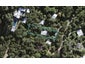 128 Fairview Crescent, Omiha, Waiheke Island - Carousel 1