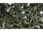 130 Fairview Crescent, Omiha, Waiheke Island - Carousel 1