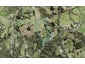 64 Coulter Road, Henderson Valley, Auckland - Carousel 1
