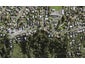 366C Hillsborough Road, Hillsborough, Auckland - Carousel 1