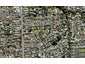 15/22 Cleland Crescent, Blockhouse Bay, Auckland - Carousel 1