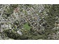 15 West Glade Crescent, Birkenhead, Auckland - Carousel 1