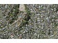 28C Comins Crescent, Mission Bay, Auckland - Carousel 1