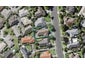 39 Nicholas Road, Somerville, Manukau - Carousel 1
