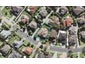 29 Mahoney Drive, Albany, Auckland - Carousel 1
